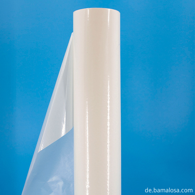 hot melt adhesive film