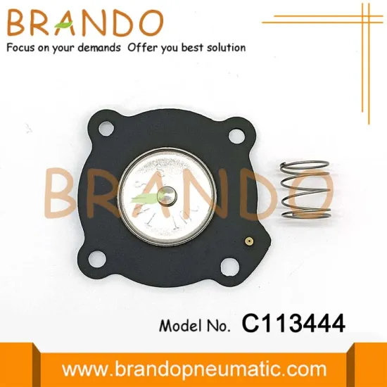 C113444 NBR Diaphragm For 1'' SCG353A044 G353A042