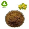 Weeping Forsythia Extract Powder 10:1 Νέο προϊόν