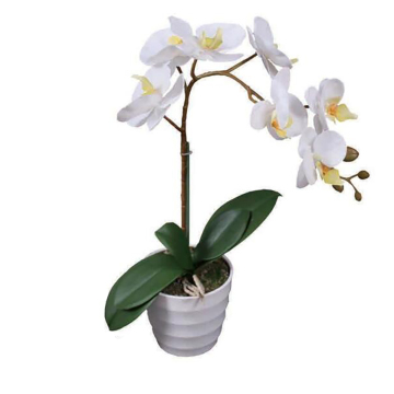 Linwoo Fashion Design Hot Selling Indoor Office Bonsai Artificial Orchid with Pot