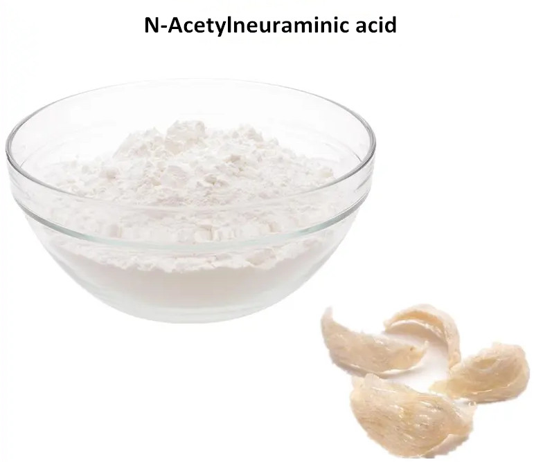 N-Acetylneuraminic acid