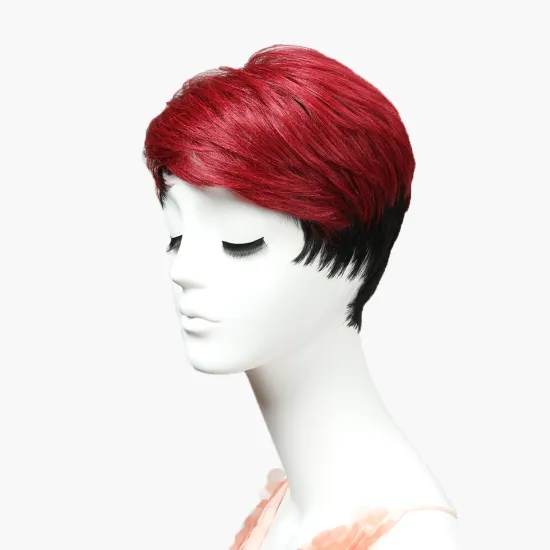 Wigs hongkong south africa short human hair lace front