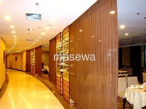 Metal Mesh As Screen 