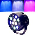 12W LED RGBW Stage PAR Light