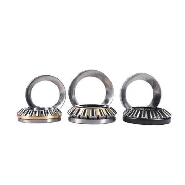 Direct Sale 292/1250-E-MB Thrust Roller Bearing for Motor