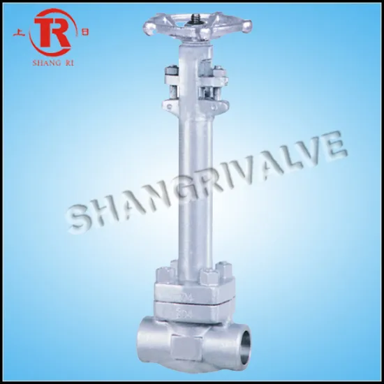 Low Temp Welding Gate Valve (DZ61Y-800LB)