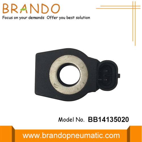 DC12V Electrovalve Coil For LPG CNG Pressure Reducer