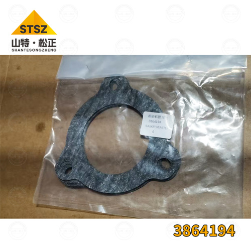 Engine QSK23 starter gasket 3864194