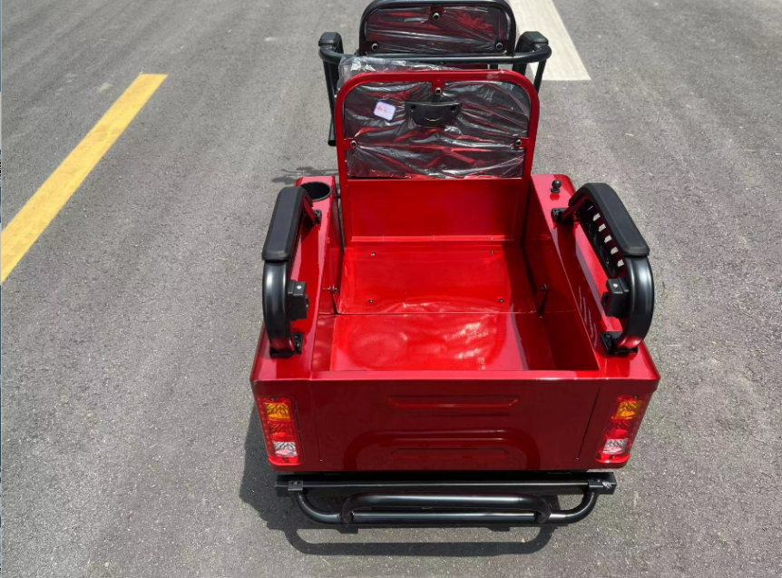 Tricycle électrique avec des personnes et des cargaisons