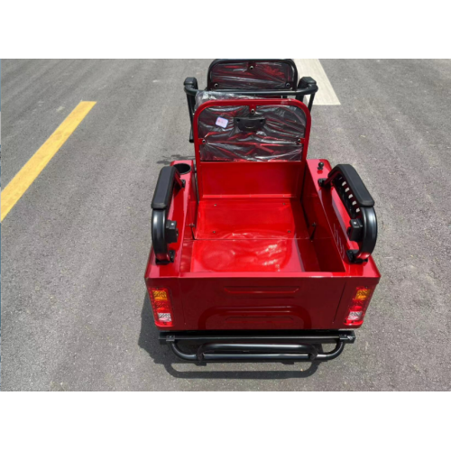 Electric tricycle with people and cargo