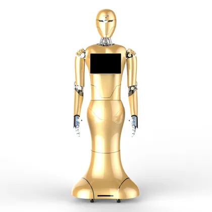 2020 New Design Artificial Intelligence Humanoid Reception Service Robot