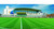 synthetic turf grass for landscaping