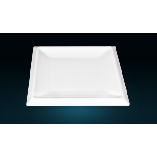 11 Inch Qualified Tableware Square Plate