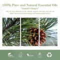 Atacado 100% puro extrato de planta de óleo de pinheiro natural para limpo