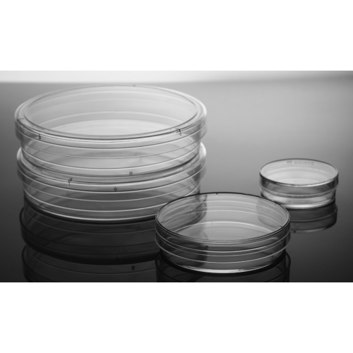100mm Cell Culture Dishes laboratory China Manufacturer
