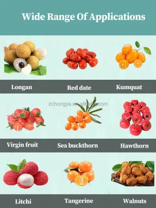 Orbital Type Stainless Steel Olives and Fruit Sorting Machine