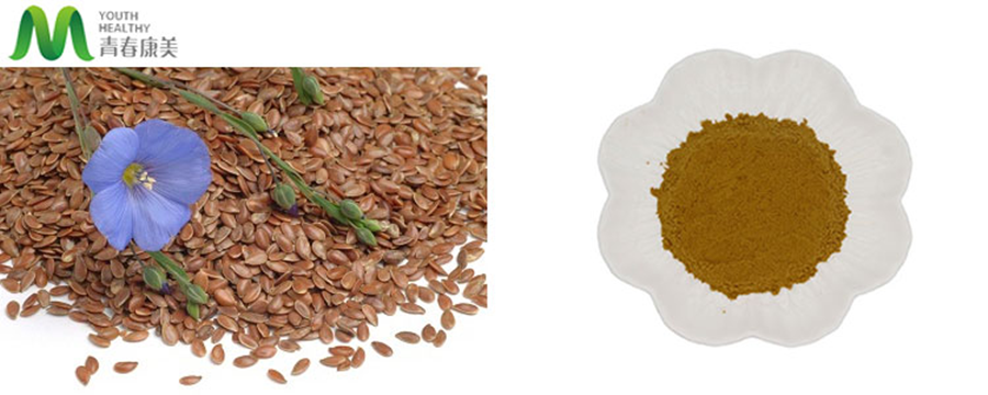 Flax Seed Powder Extract