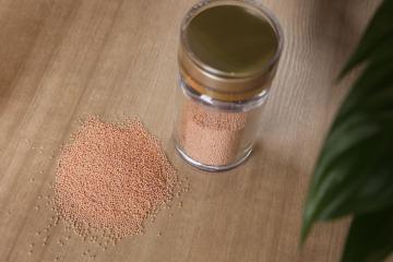 Dietary Supplement Leuconostoc Mesenteroides 200B CFU/g