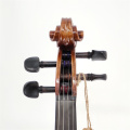 Popular violino maciço de verniz sprite