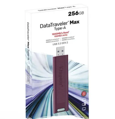 Kingston DTMAX (256GB) Product