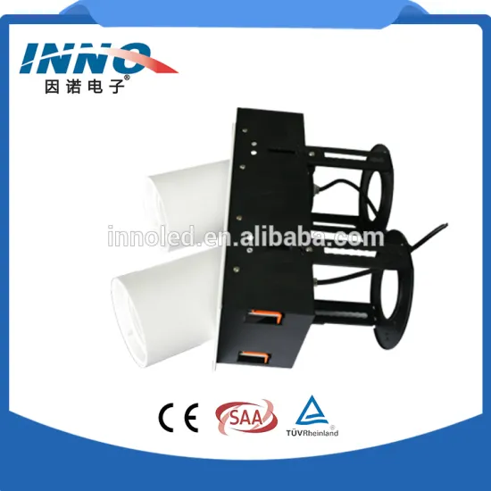 wholesale alibaba slender lamp tube dimmable cob led ceiling downlight spotlight interior double head spot light