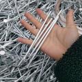 smooth galvanized &polished common nails