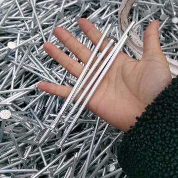 smooth galvanized &polished common nails