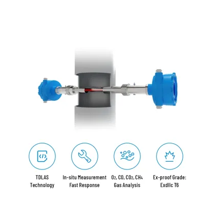In-Situ Laser Process Gas Analyzer: O2, CO, CO2, CH4 Measurements with TDLAS Technology
