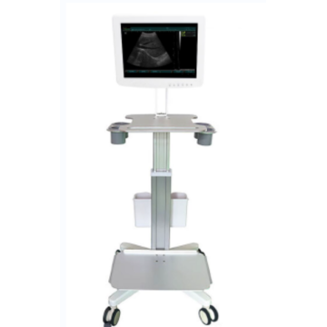 Touch screen 3D Ultrasound Scanner Machine-- SS-100