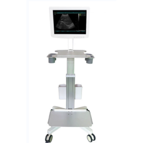 Touch Screen 3D Ultrassom Scanner Machine-- SS-100