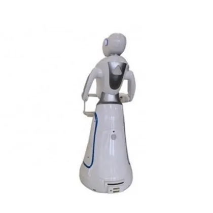 Double-decker Tray Cafe Robot With Display