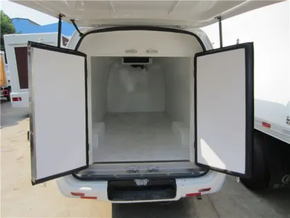 FOTON 4x2 frozen vans