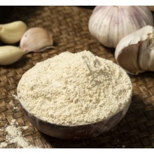 Light Yellow Garlic powder with Good price