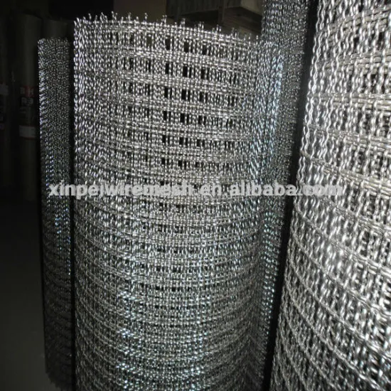 Crimped Wire Mesh/Square Wire Mesh/Woven Wire Mesh (Hot sale)
