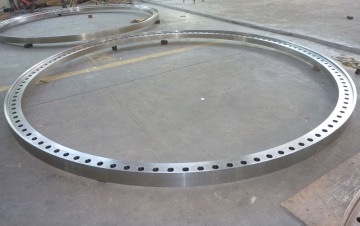 AWWA C207 Class D  Flanges