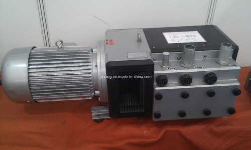 Dry Running Rotary Vane Air Pump for Roland Printing Machine