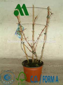 Bamboo Ladder Trellis for Plant Growing/bamboo trellis for plant/trellis ladder