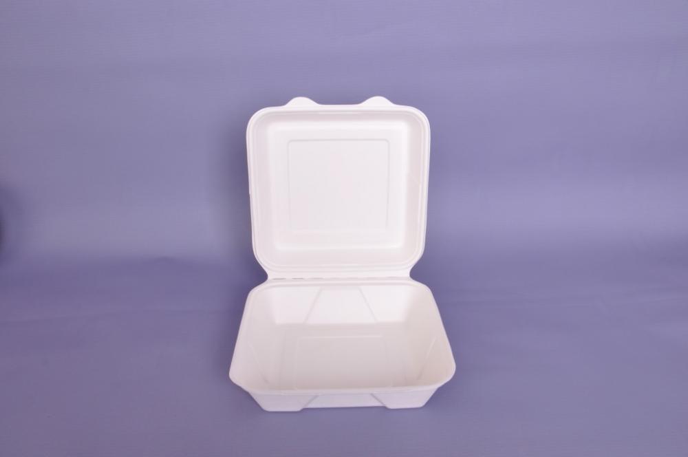 Bagasse Compostable Cutlery