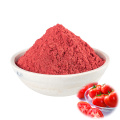 Buy Online Active Ingredients Lycopene Powder Supply