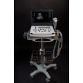 Full Digital Color Doppler Diagnosticl System for Breast