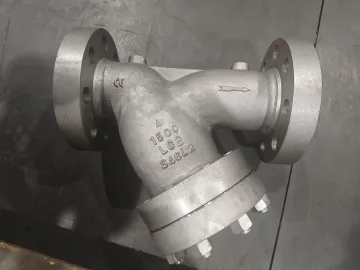 High pressure casting LCB Y type strainer