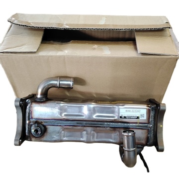 Gruccio di raffreddamento a gas di scarico per ISUZU ZX360 ZX330-3 SH350 6HK1 (EGR)