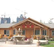 fashion low cost prefab wood house
