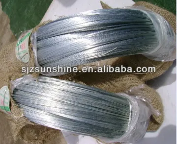 ISO electro galvanized iron wire