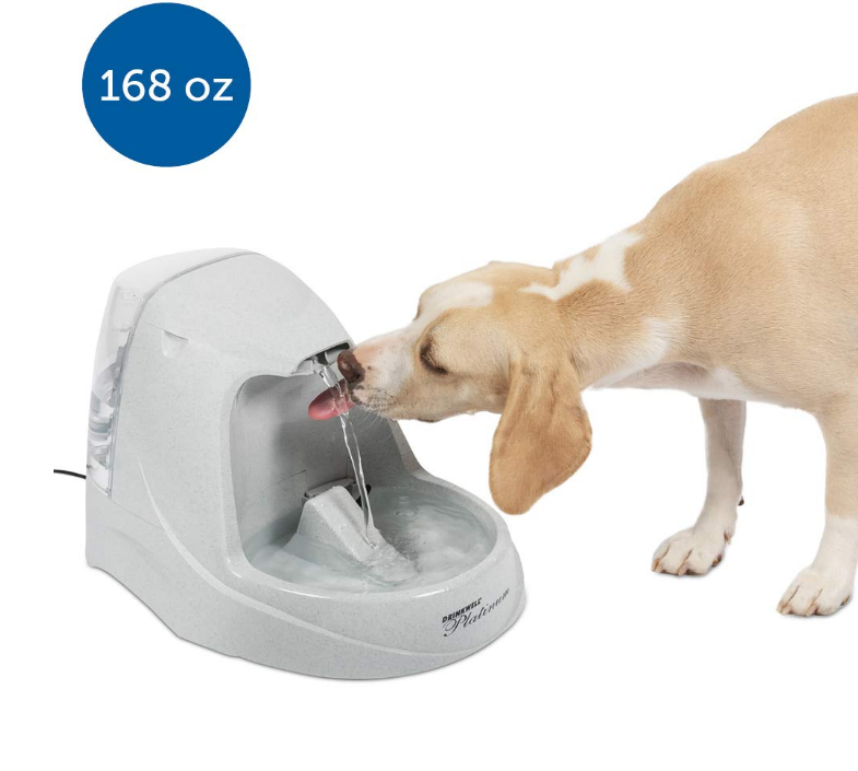 Cat and Dog Water Fountain