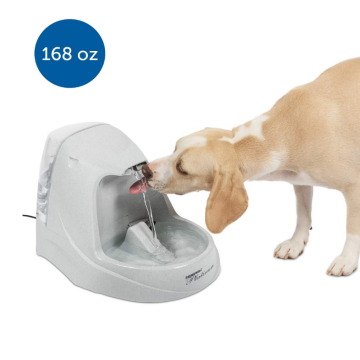 Cat and Dog Water Fountain