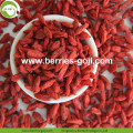 Top Grade Hot Sale Dried Tibet Goji Berry