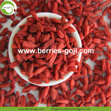 Top Grade Sıcak Satış Kurutulmuş Tibet Goji Berry