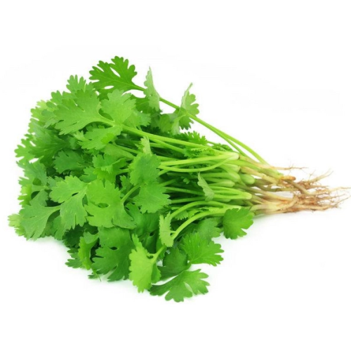 Coriander Extract Powder Sale