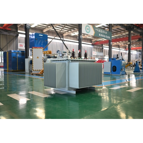 S20-M-1000 10KV Oil Immersed Power Transformer